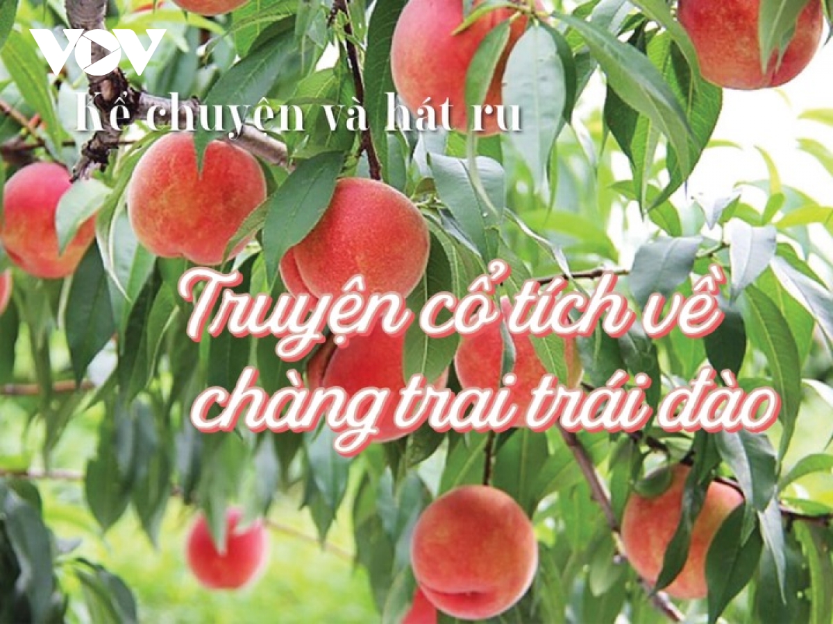 Truyện cổ tích về chàng trai trái đào